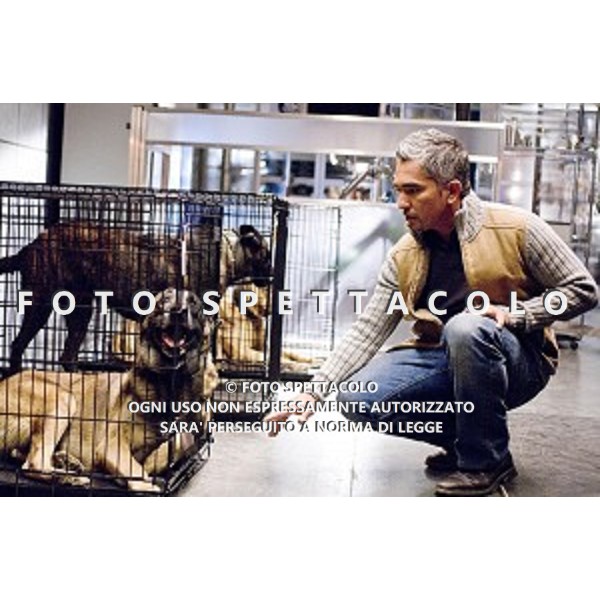 Cesar Millan