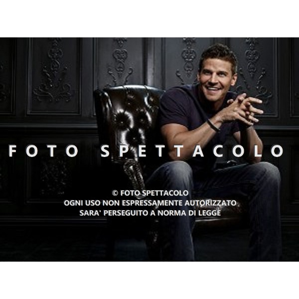 David Boreanaz