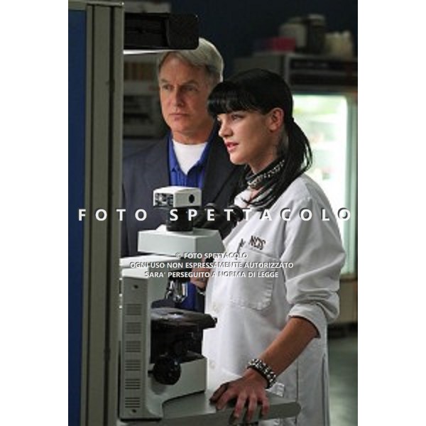 Mark Harmon, Pauley Perrette