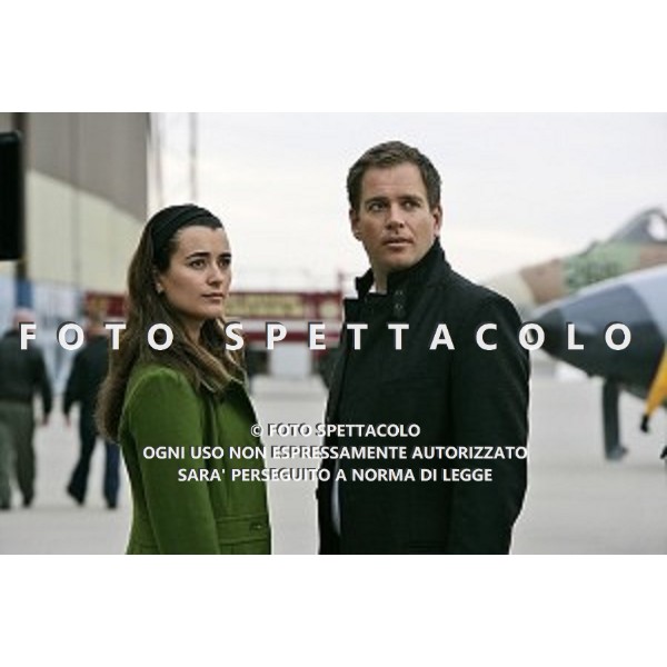 Cote de Pablo, Michael Weatherly