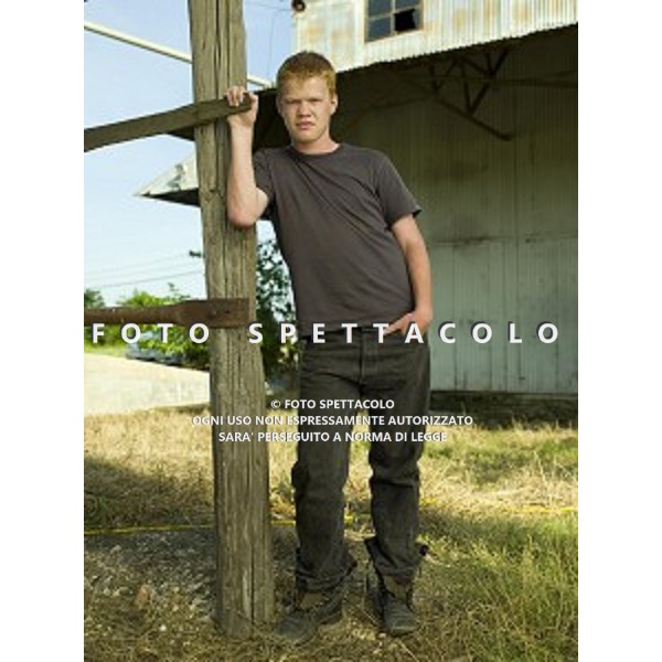 Jesse Plemons