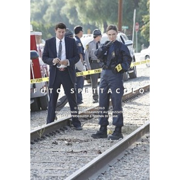 David Boreanaz, Emily Deschanel