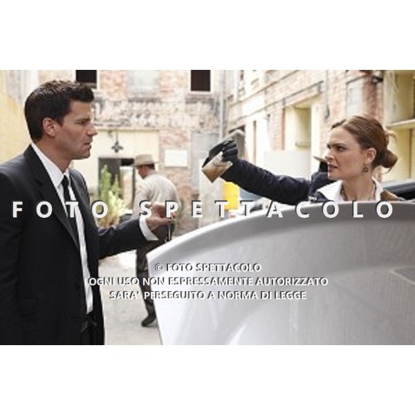 David Boreanaz, Emily Deschanel