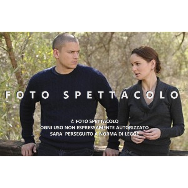 Wentworth Miller, Sarah Wayne Callies