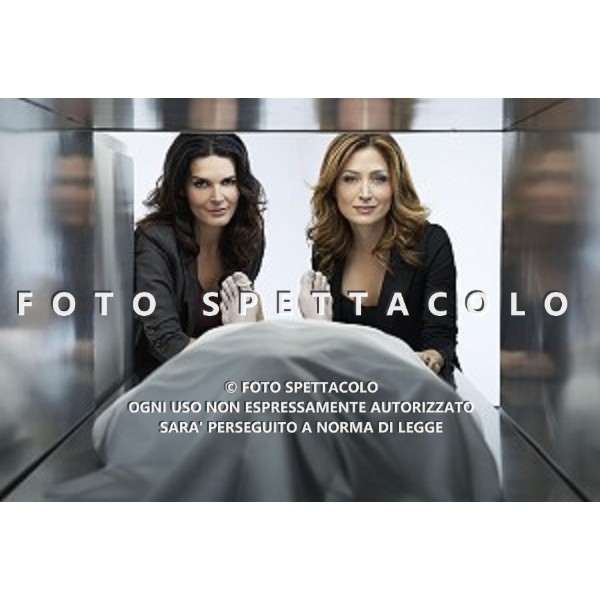 Angie Harmon, Sasha Alexander