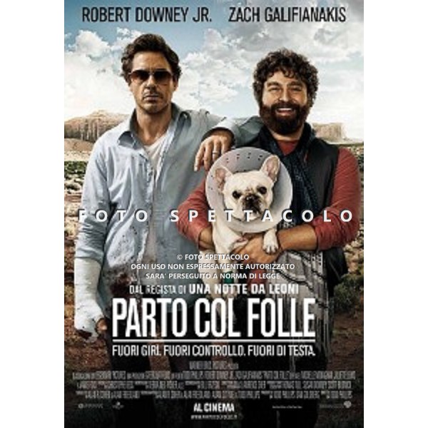 Parto col folle - Locandina