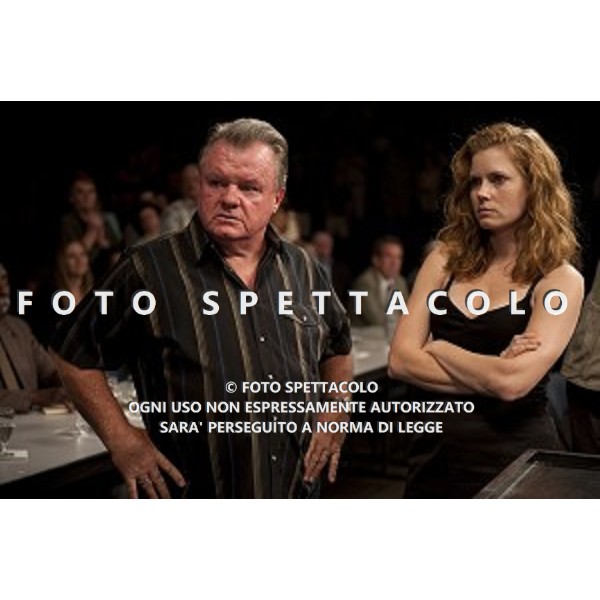 Jack McGee, Amy Adams