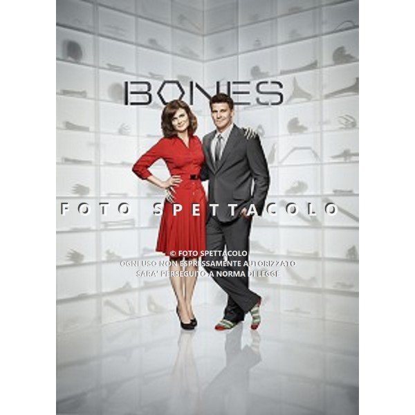 Bones - Poster della stagione 6