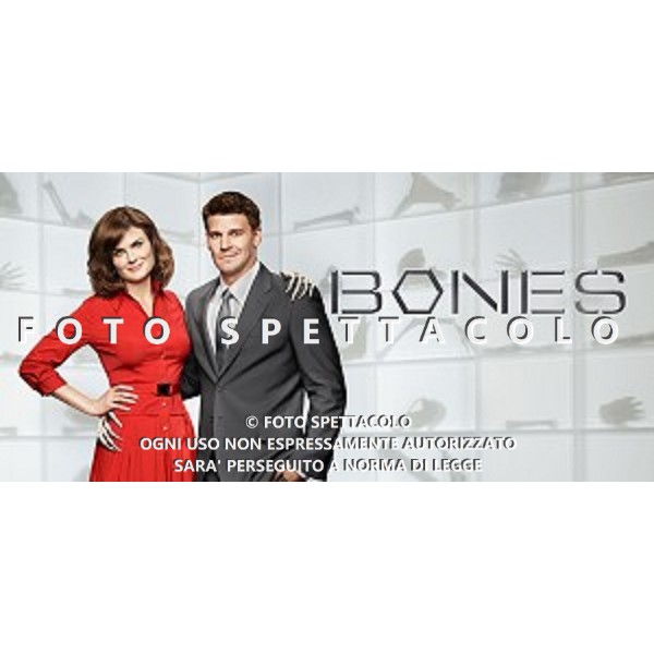 Bones - Poster della stagione 6