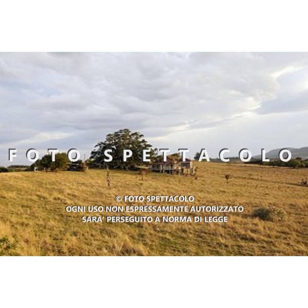 Scena
