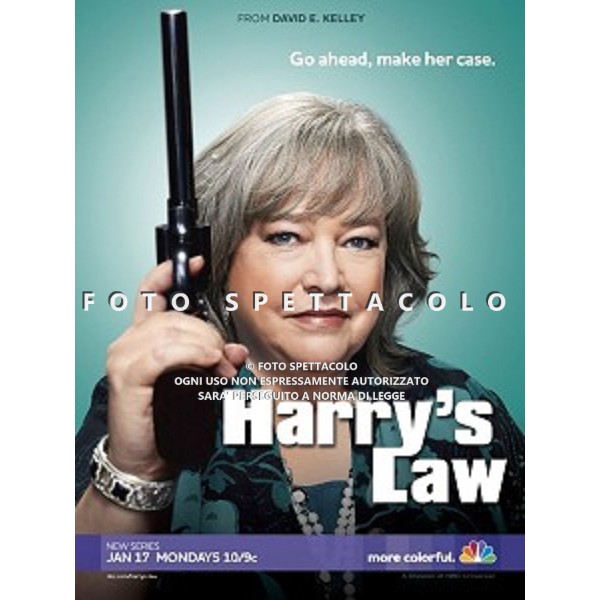 Harry\'s law - Poster stagione 1