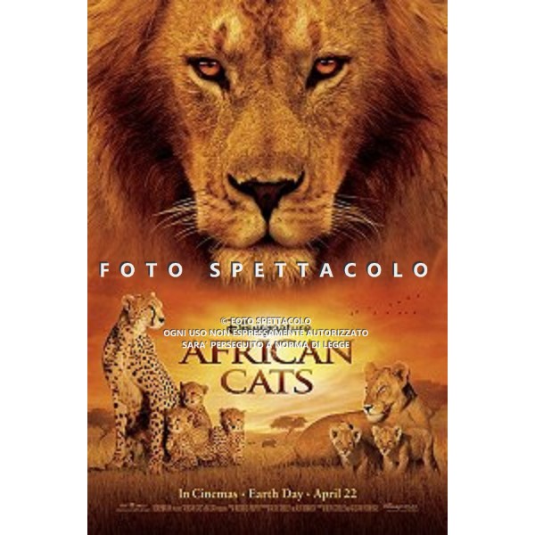 African cats - Locandina originale