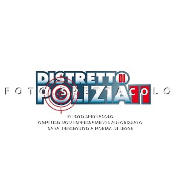 Distretto di polizia 11 - logo