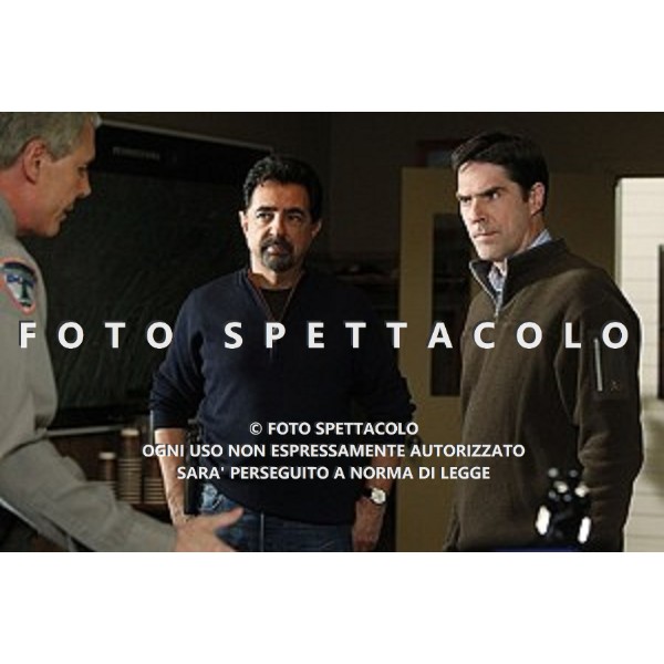 Joe Mantegna, Thomas Gibson