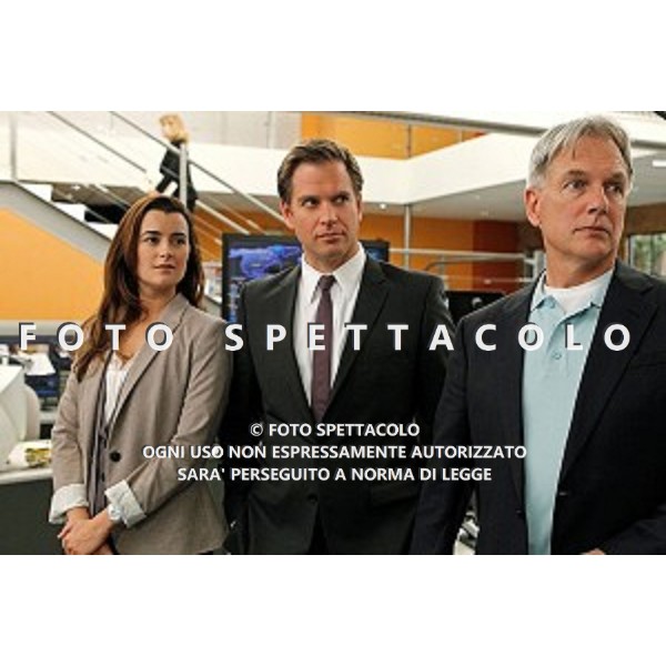 Cote de Pablo, Michael Weatherly, Mark Harmon