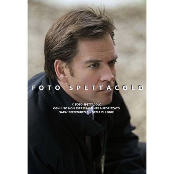 Michael Weatherly