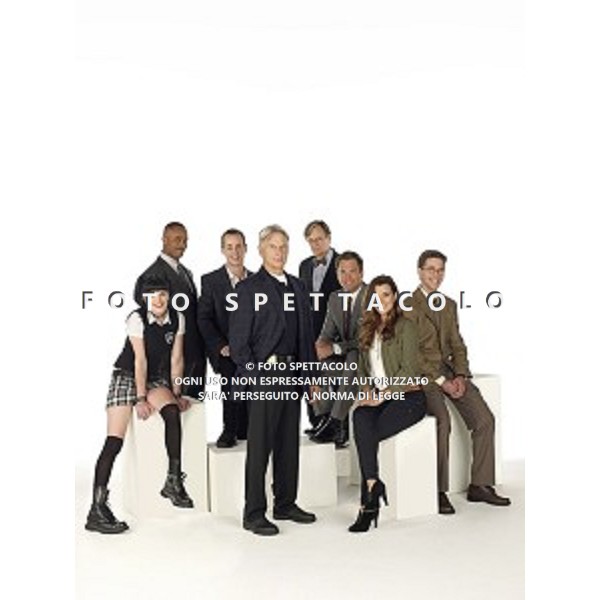 Pauley Perrette, Rocky Carroll, Sean Murray, Mark Harmon, David McCallum, Michael Weatherly, Cote de Pablo, Brian Dietzen