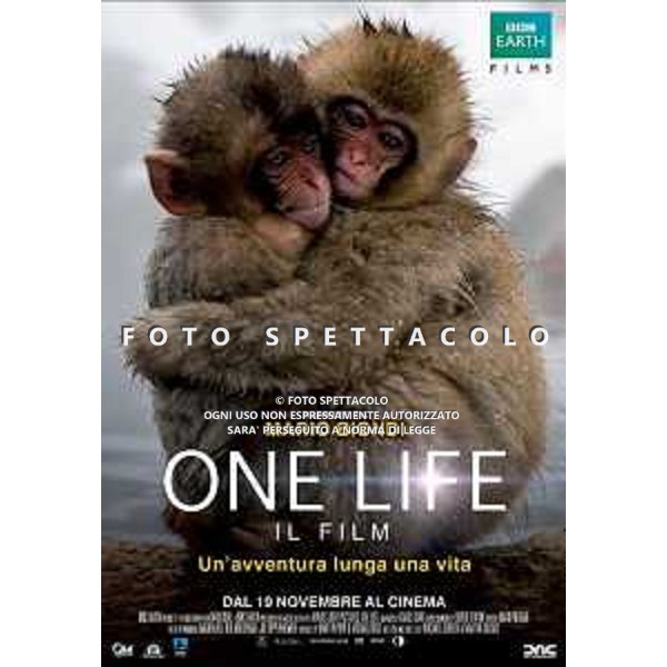 One Life: Il Film - Locandina Film