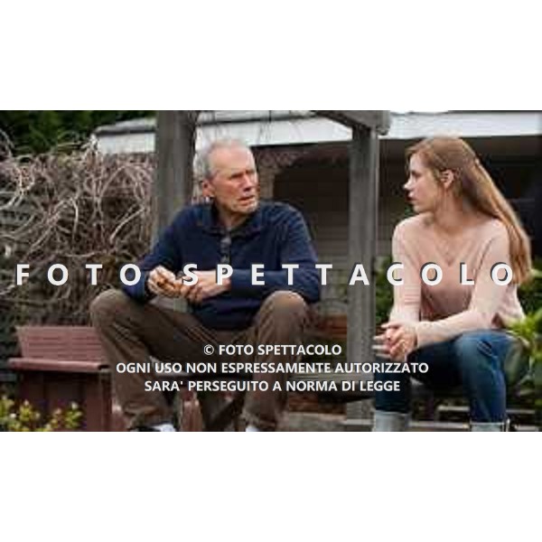 Clint Eastwood ed Amy Adams