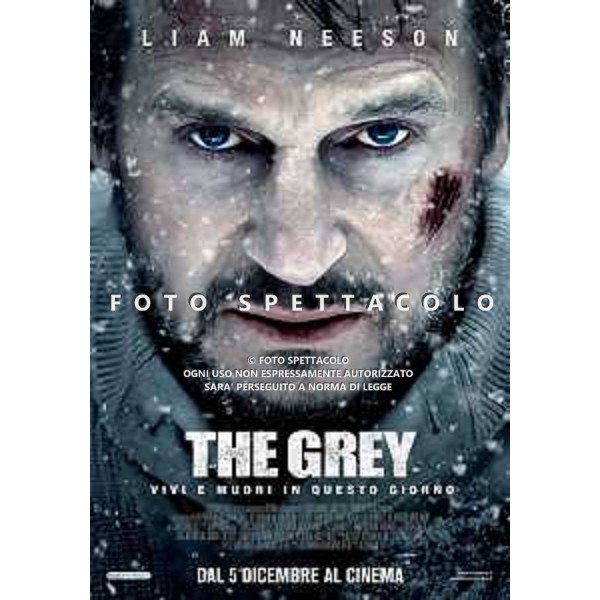 The Grey - Locandina Film