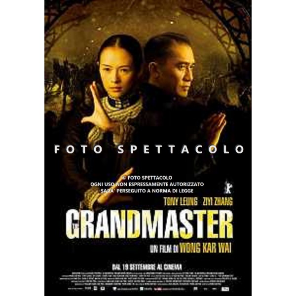 The Grandmaster - Locandina Film ©BIM