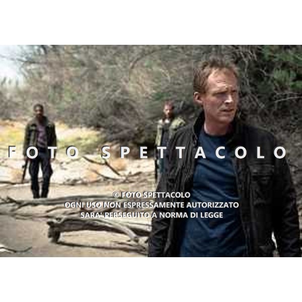 Paul Bettany - Transcendence ©01 Distribution