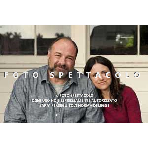 James Gandolfini e Julia Louis-Dreyfus - Non dico altro ©20th Century Fox